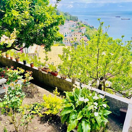 شقة Borgo Virginia - Sea View In Amalfi Coast Vietri المظهر الخارجي الصورة